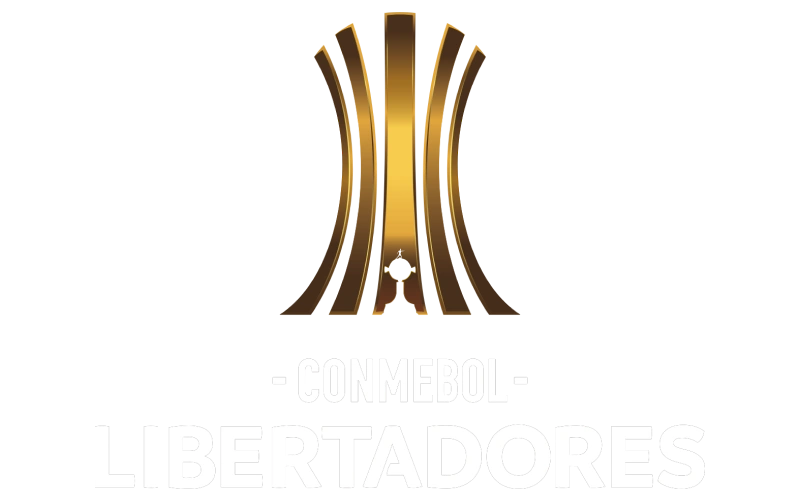 Bet on many provided markets for Copa Libertadores at Cybet.
