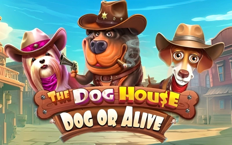 Play this western themed The Dog House game at Cybet.