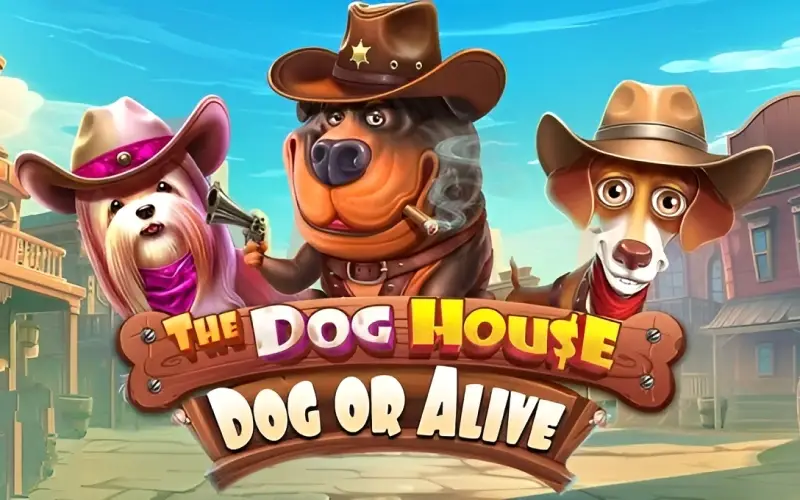 The Dog House game at Cybet.